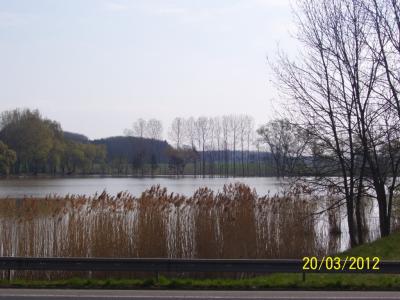 j1.jpg