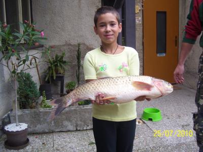 r58.jpg